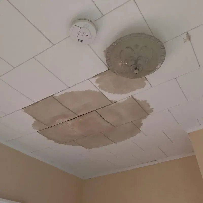 Ceiling Water Damage Repair in Unadilla, GA