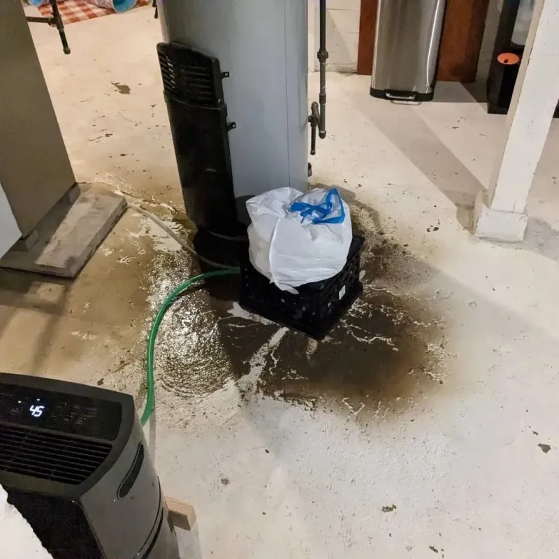 Sewage Backup Cleanup Service in Unadilla, GA